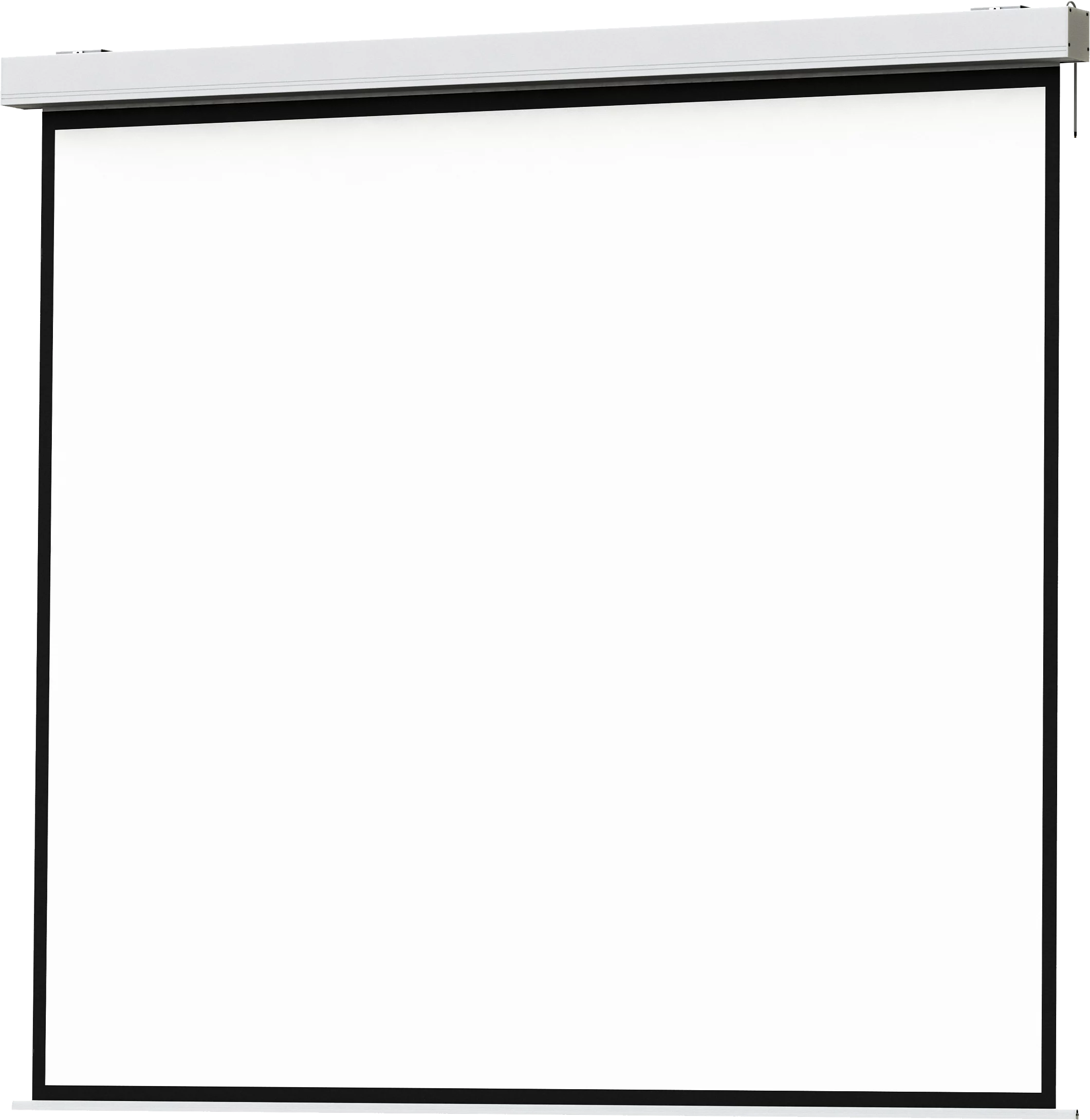 Rollo Standard